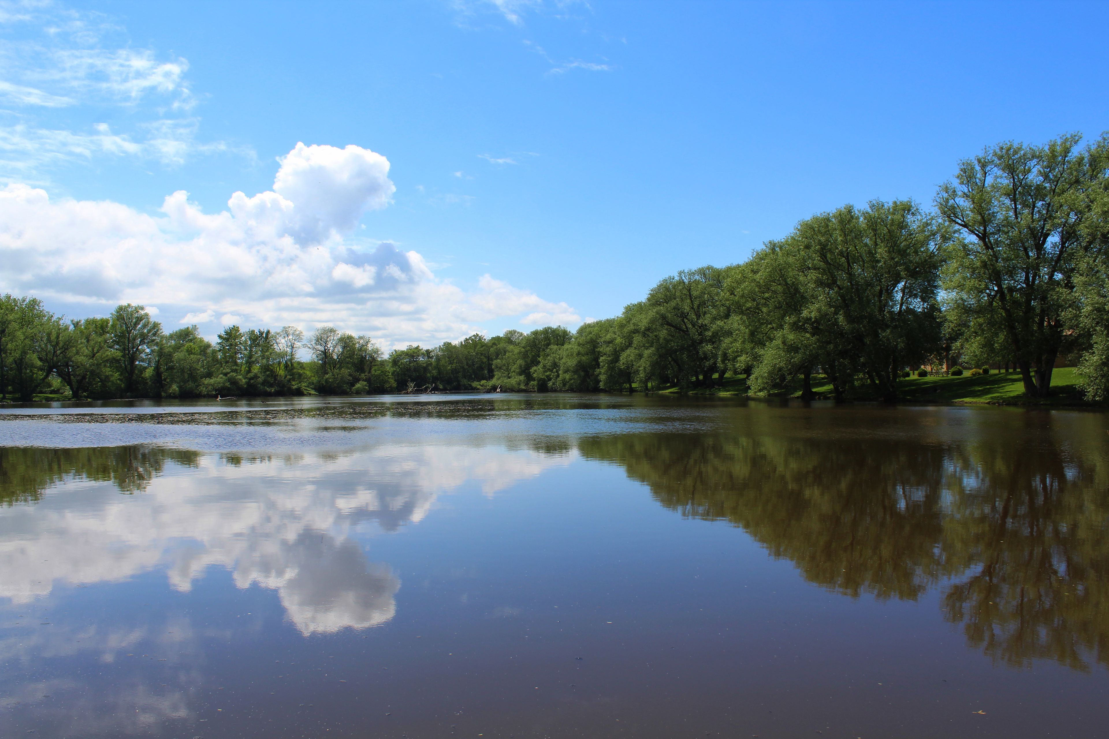 Reflections  at Johnson's Creek