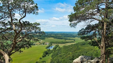 Sunny Summer day landscape of lush green fields and forests as seen from the top of Gibraltar Rock near Lodi, Wisconsin.