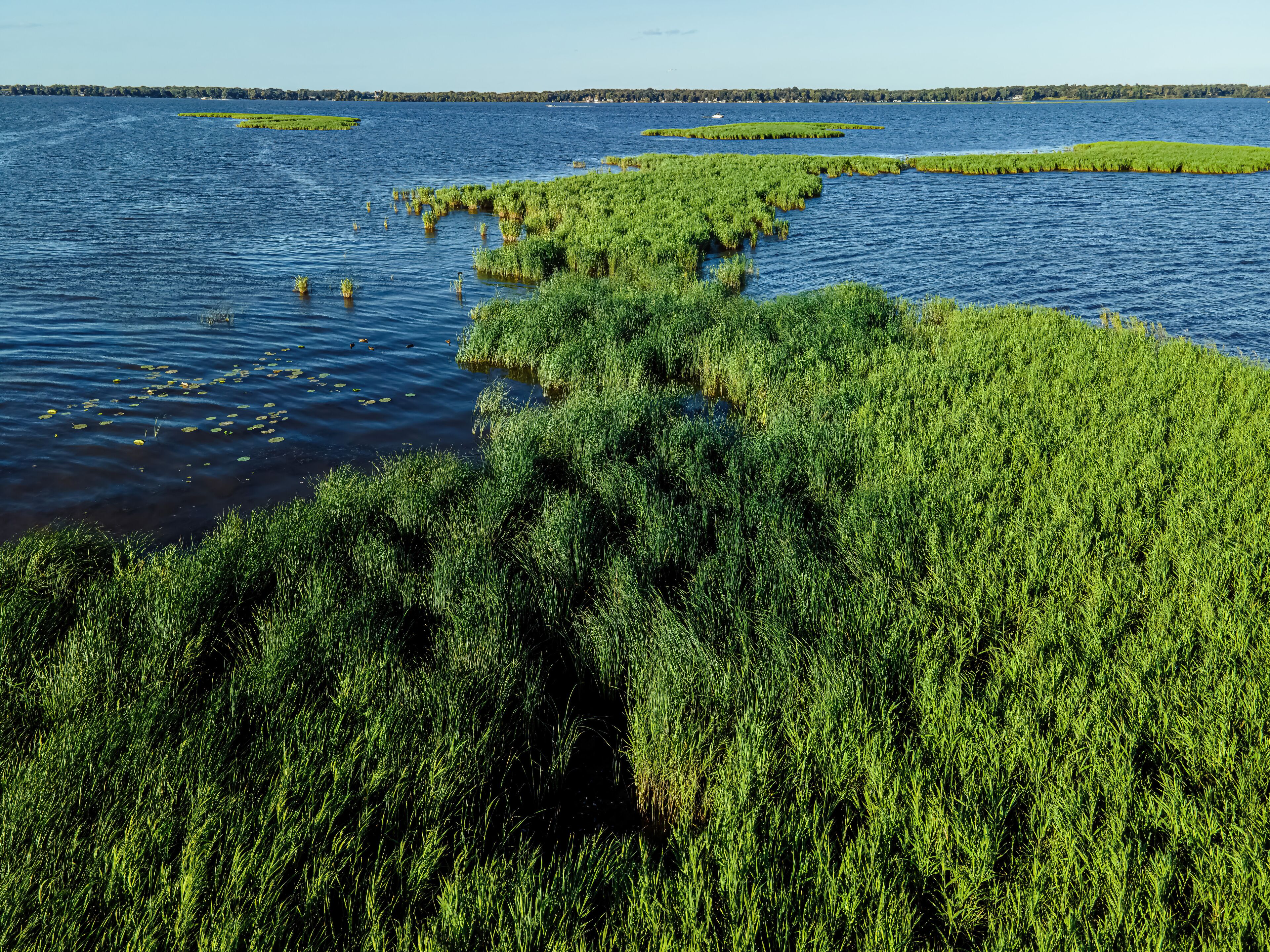 Tiny Island with Low water levels on the fox river in wisconsin