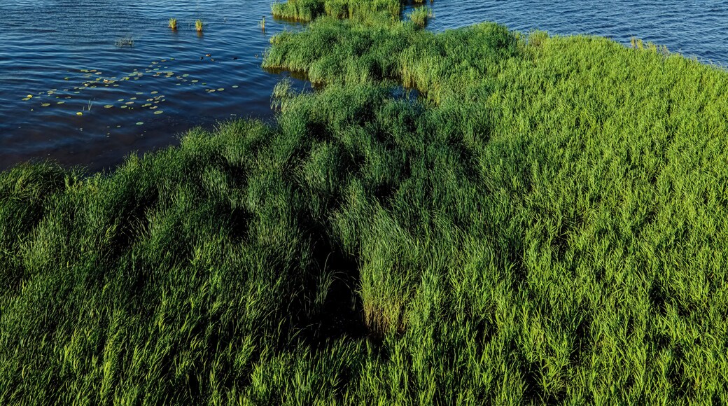 Tiny Island with Low water levels on the fox river in wisconsin