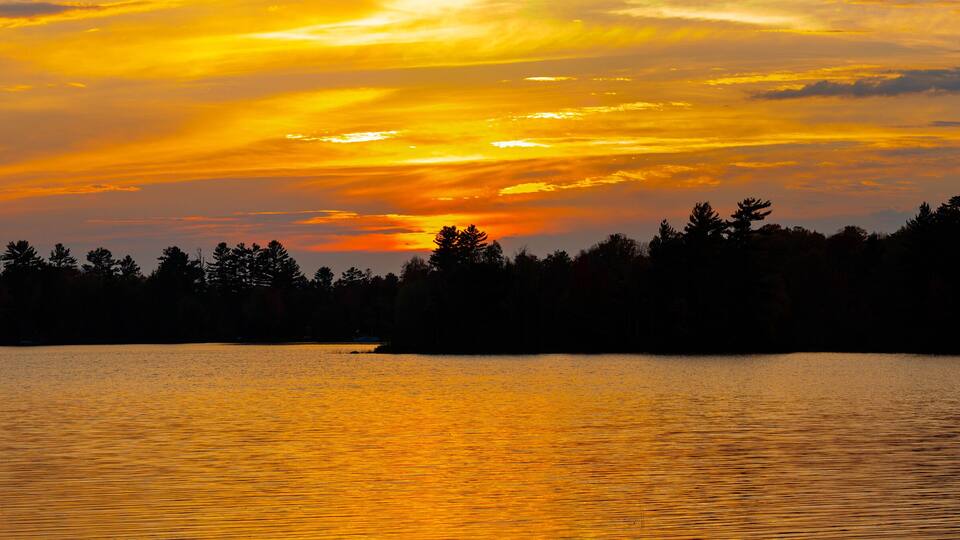 A sunset over a calm lake with silhouettes of trees in the foreground and a forest in the background.