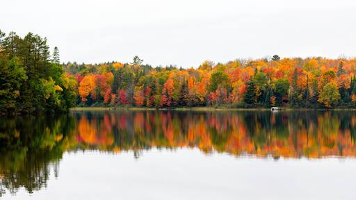 Colorful autumn trees on lake of the Falls in Mercer, Wisconsin