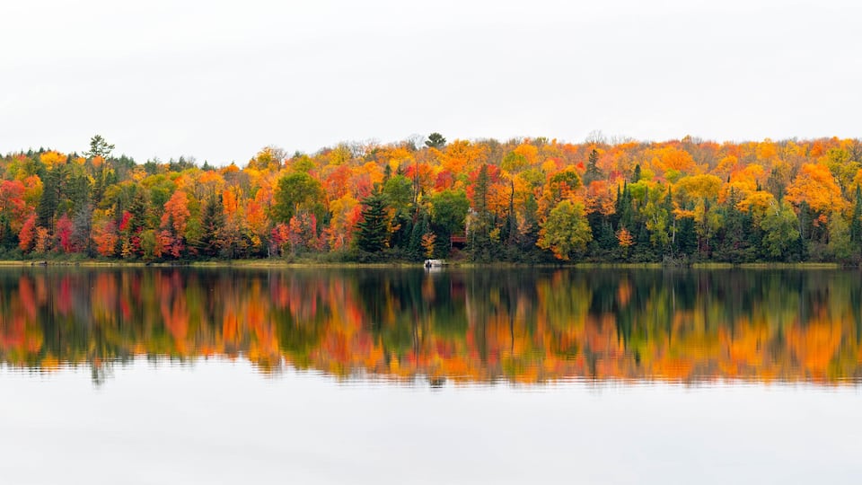 A calm lake reflecting colorful autumn foliage.