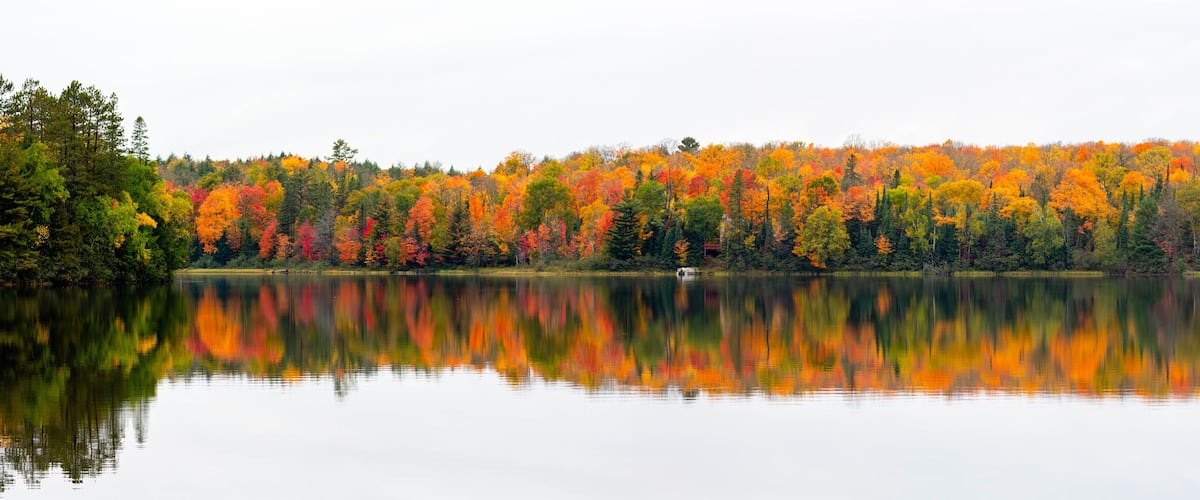 Colorful autumn trees on lake of the Falls in Mercer, Wisconsin