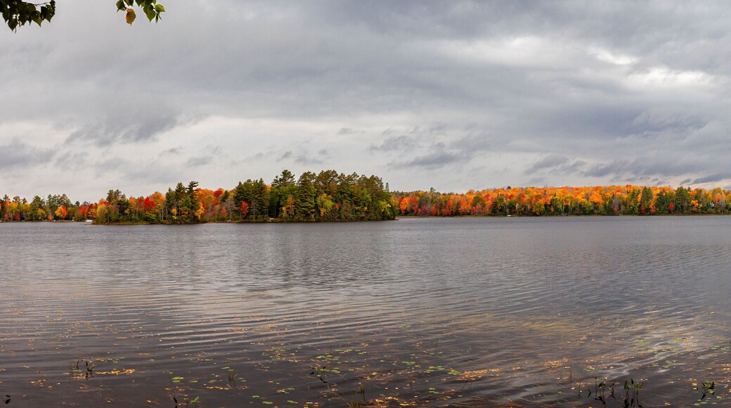 Colorful autumn trees on lake of the Falls in Mercer, Wisconsin