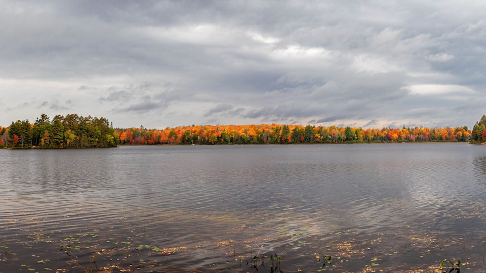 A calm lake surrounded by autumn-colored trees.