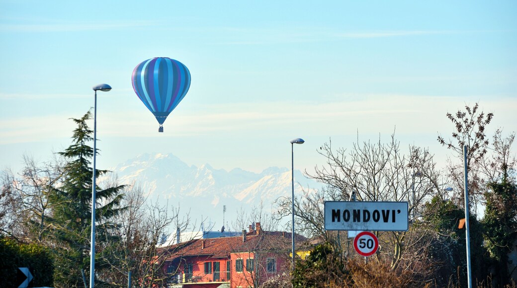 Mondovi