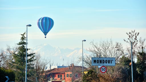 hot air balloon in the blue sky