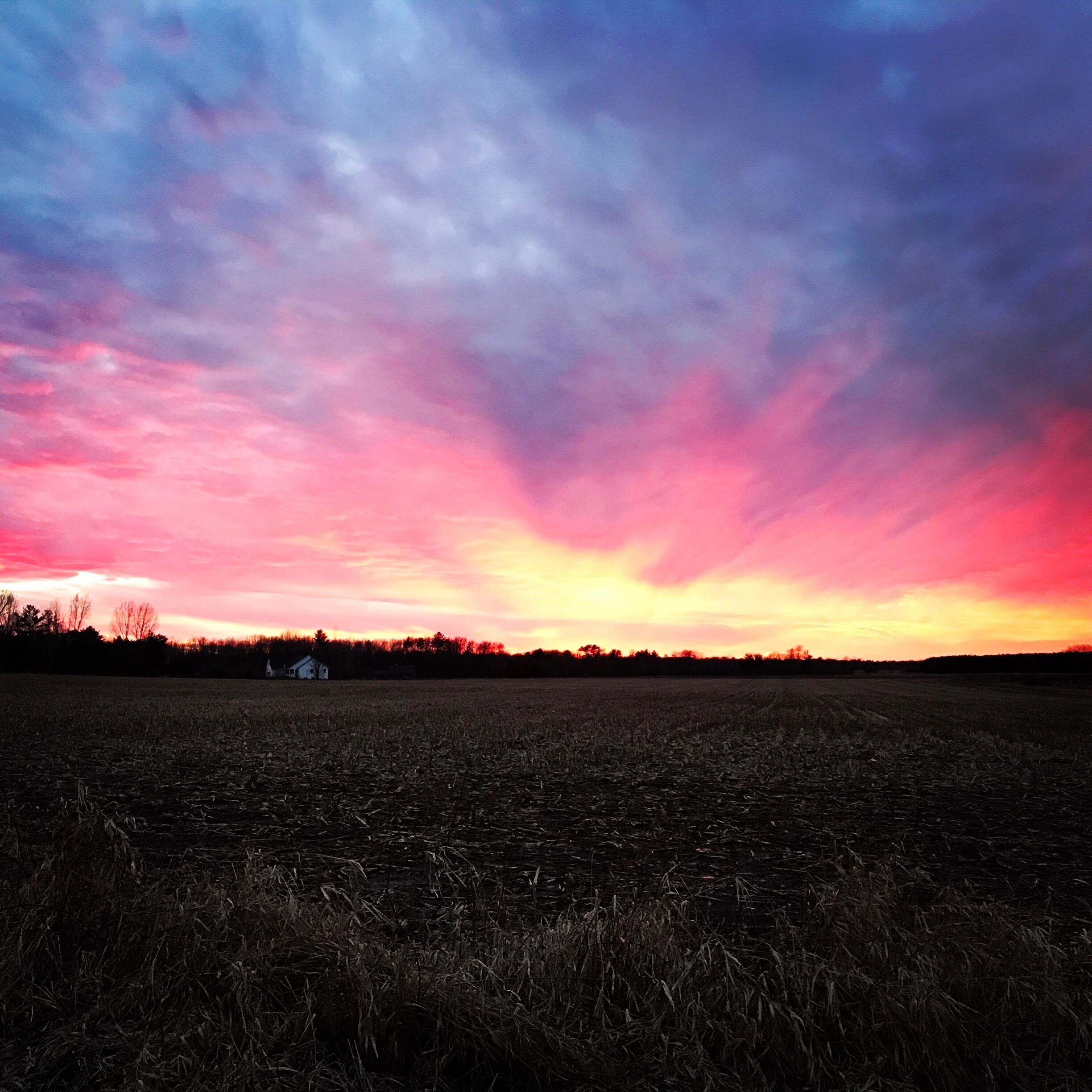 Open field in New London, WI