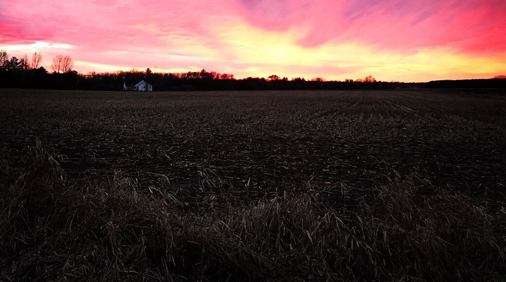 Open field in New London, WI