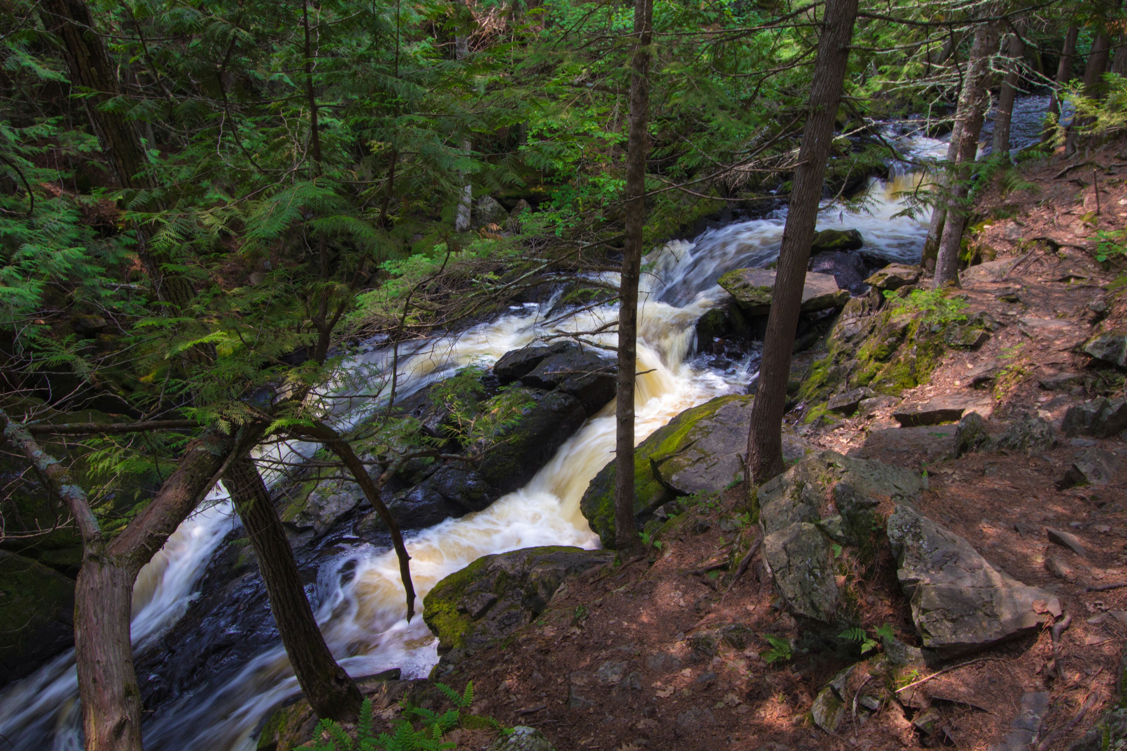 Metsäinen alue, jossa virtaa joki, on kallioista maastoa ja siellä on tiheää, vihreää lehtokasvillisuutta.