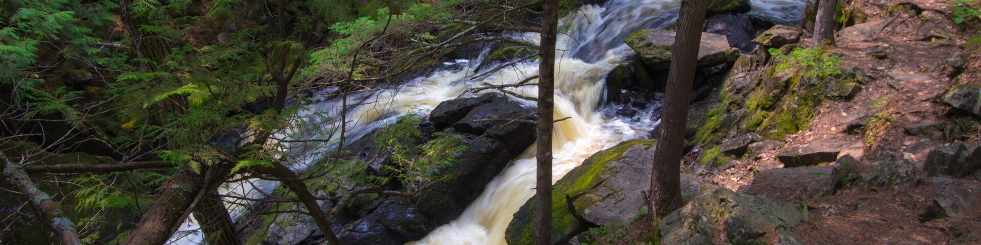 Un área boscosa con un río que serpentea, terreno rocoso y abundante follaje verde.