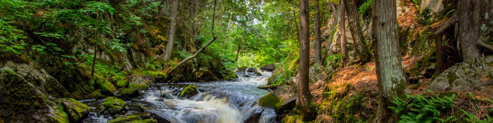 Forest Waterfall Panorama. Long Slide Falls in Niagara, Wisconsin.