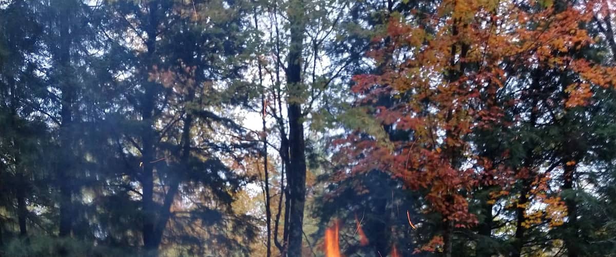A campfire surrounded by rocks and autumn leaves in a forest.