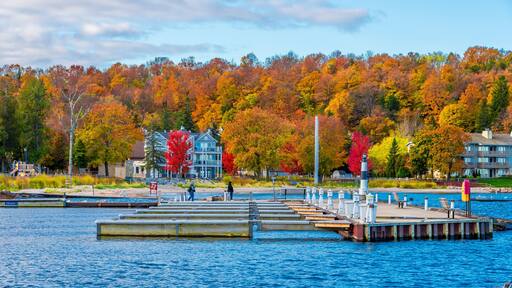 ์์คํฐ๋ฒ ์ด