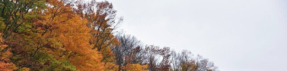 The field just across the street from the cherry orchards. Everything is beautiful in Fall.
