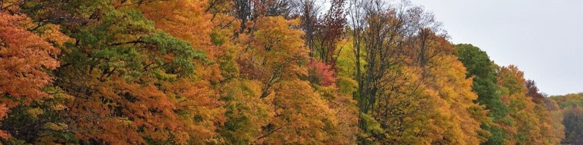 The field just across the street from the cherry orchards. Everything is beautiful in Fall.