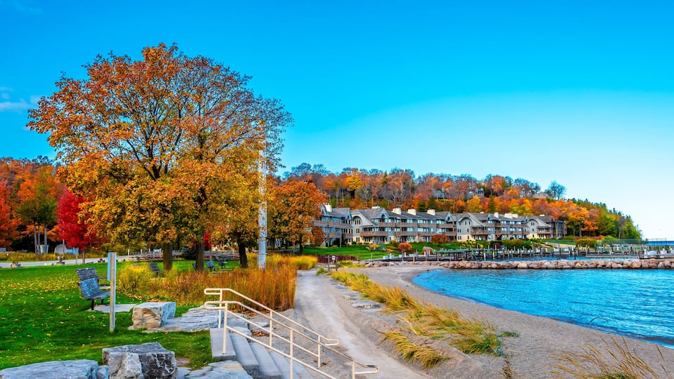 A waterfront park with autumn foliage, a pathway, and a building complex in the background.