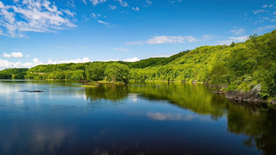 A calm river reflecting the surrounding lush green forest and a clear blue sky.