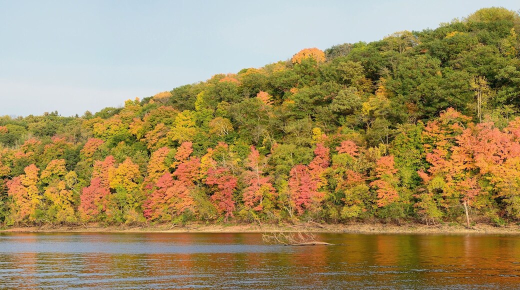 Fall Colors Along the St. Croix River