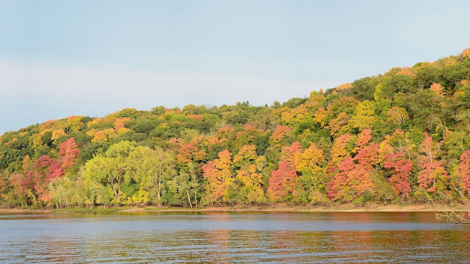 A river with a forested hillside in autumn colors.