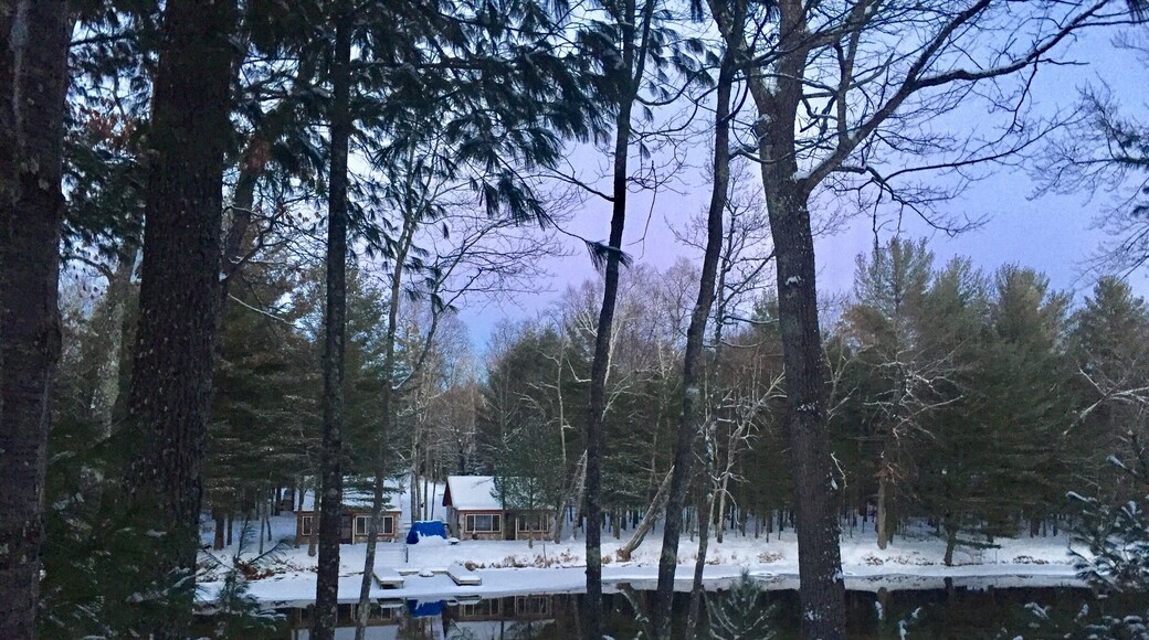 If you ever wanted to walk into a Thomas Kincade painting this would do it
#WinterWonders