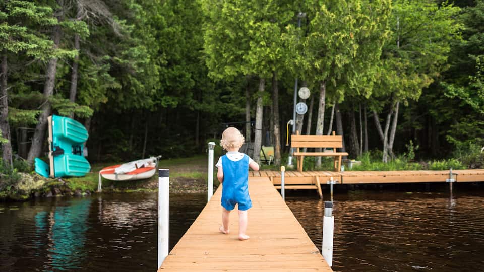 A wooden dock extending into a river surrounded by dense green trees.