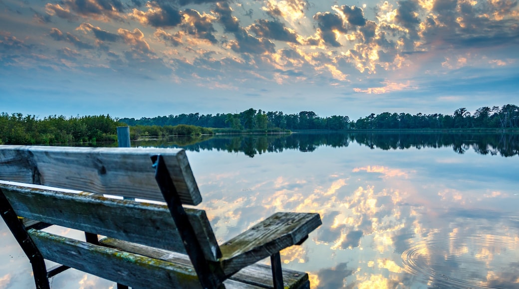 Turtle Lake