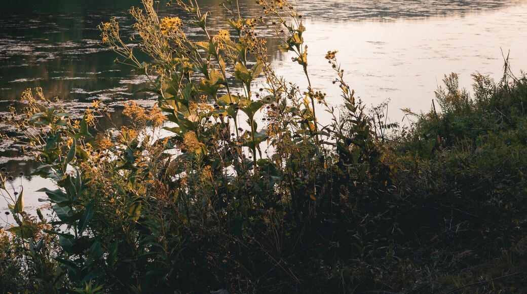 Sunset over Lake in Viroqua, Wisconsin, Sidie Hollow