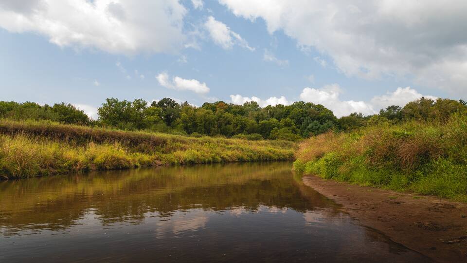 A river with a muddy bank, surrounded by dense greenery and trees under a partly cloudy sky.