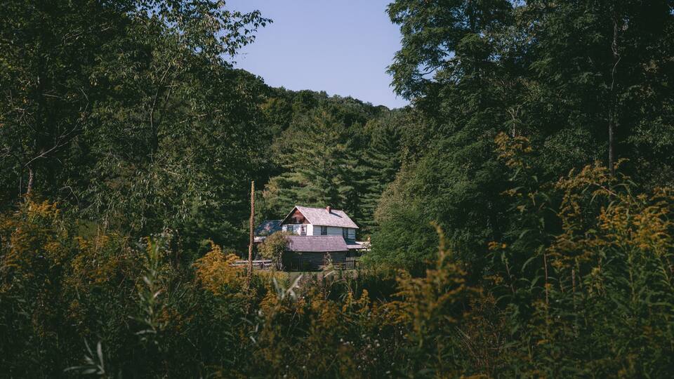 A house nestled in a forested valley with dense greenery and a clear sky.