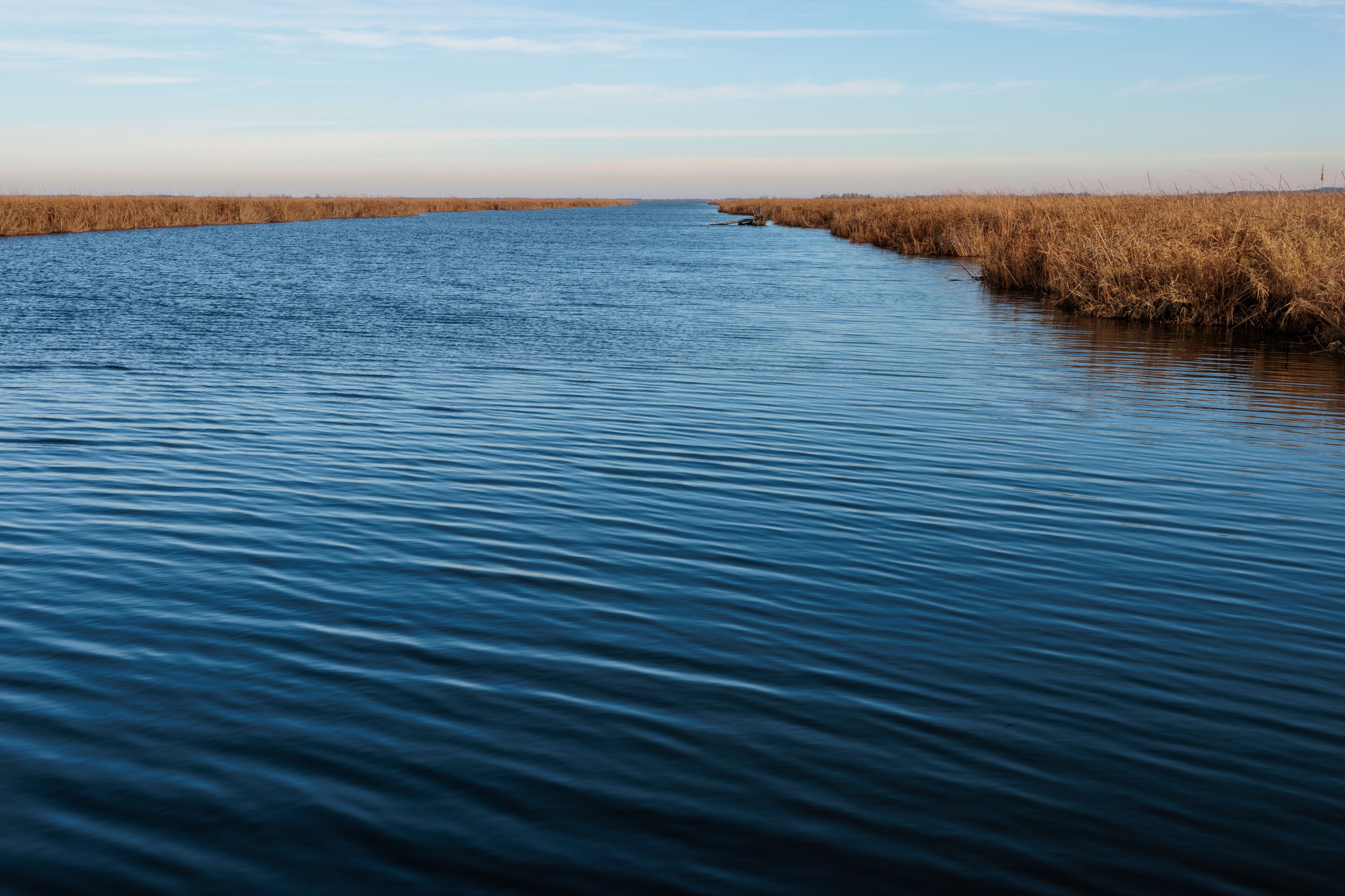 Tthe West Branch of the Rock River within the Horicon National Wildlife Refuge, near Waupun, Wisconsin in mid-November, at the end of the Dike Road