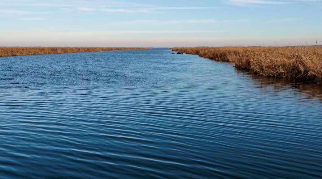 Tthe West Branch of the Rock River within the Horicon National Wildlife Refuge, near Waupun, Wisconsin in mid-November, at the end of the Dike Road