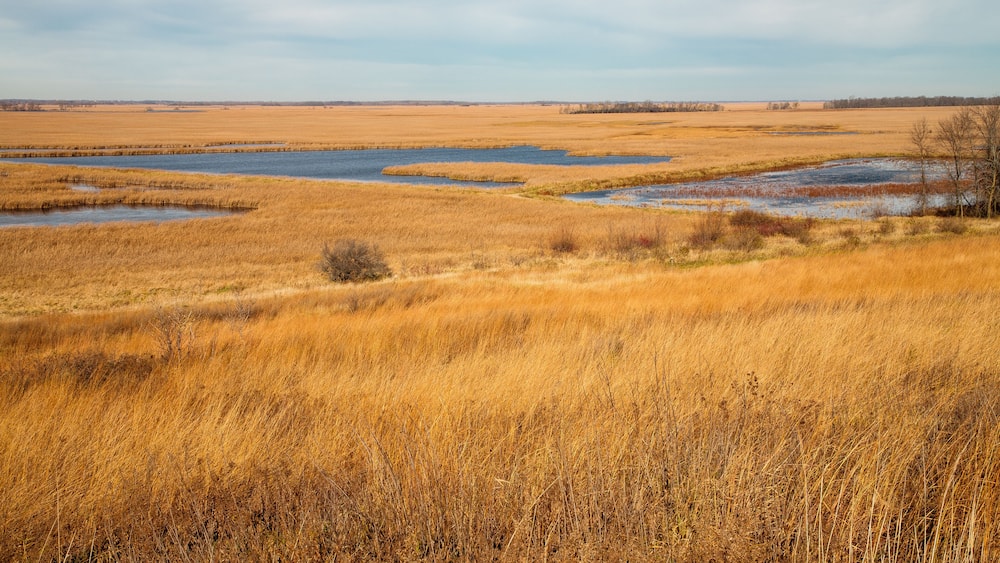 Overlooking Horicon National Wildlife Refuge, Wisconsin in fall