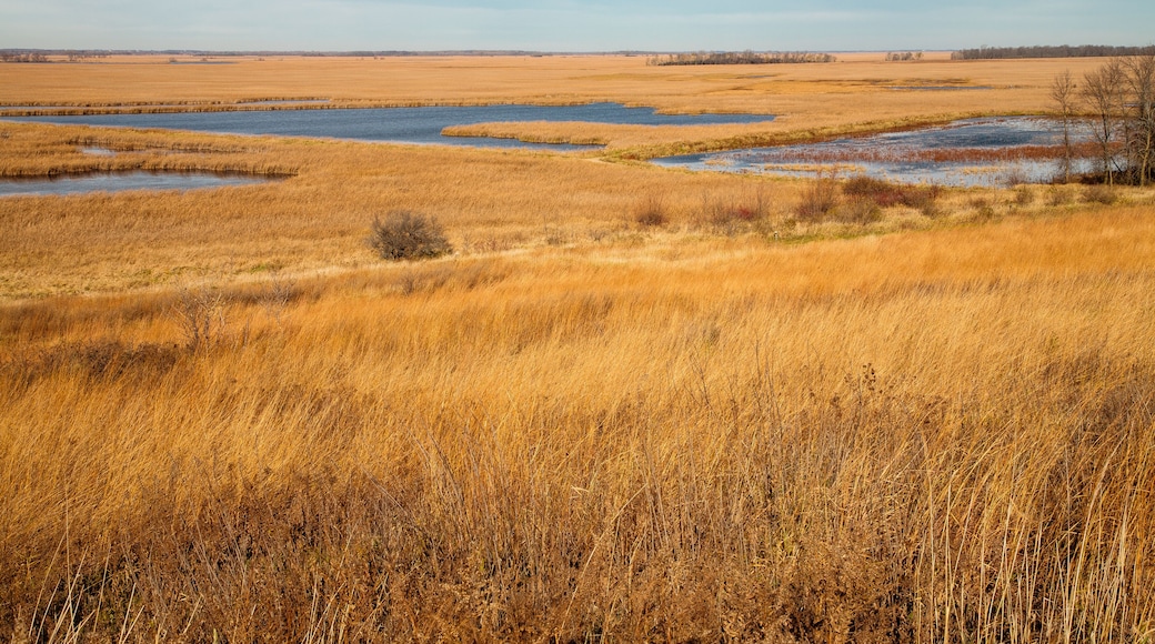 Overlooking Horicon National Wildlife Refuge, Wisconsin in fall