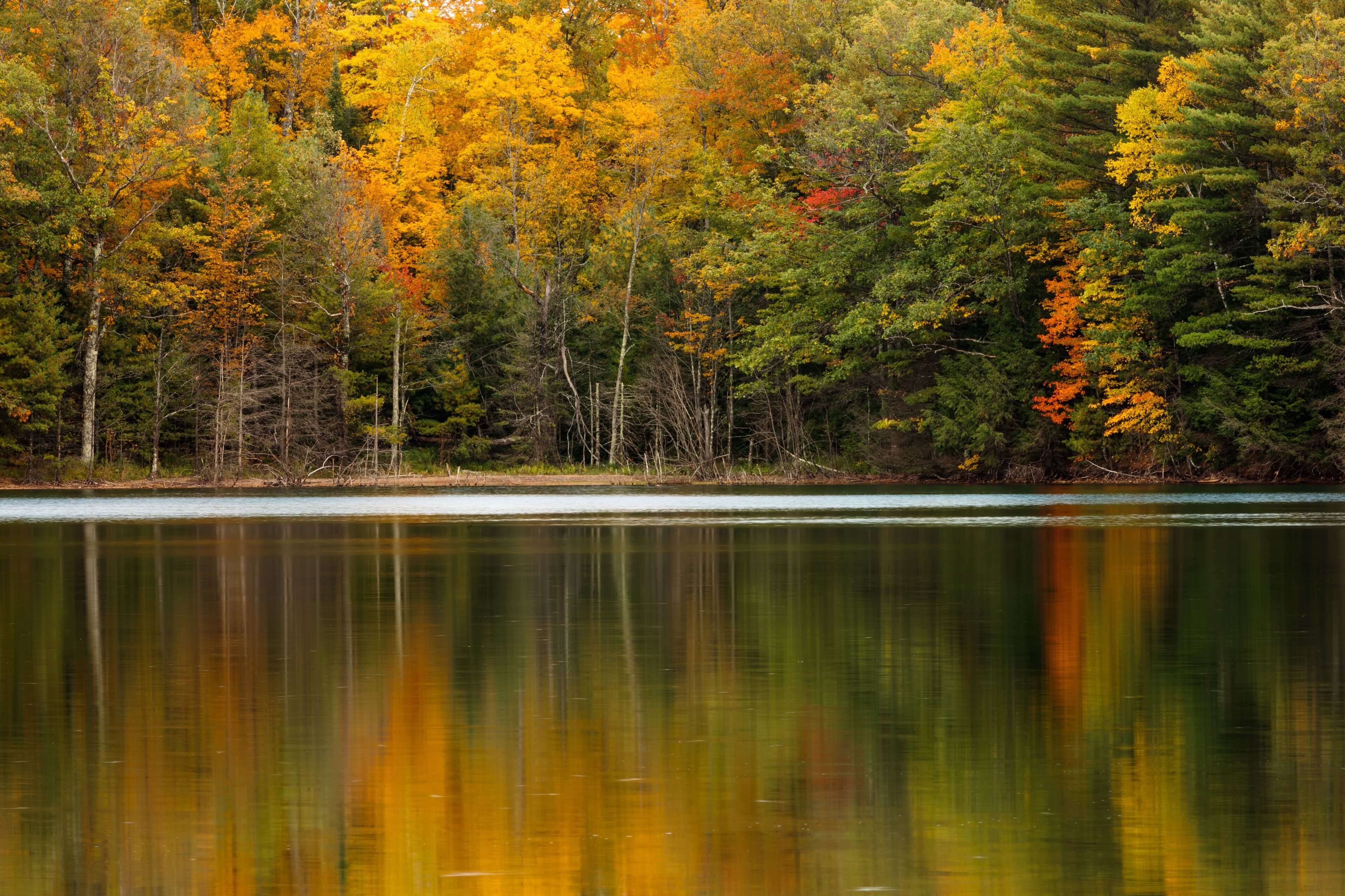 Clear Lake shoreline reflects into the very calm water of the lake in northern Wisconsin near Woodruff, in early October