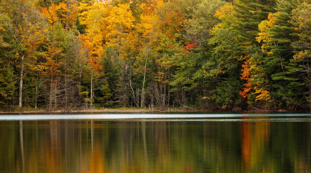 Clear Lake shoreline reflects into the very calm water of the lake in northern Wisconsin near Woodruff, in early October