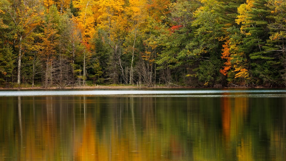 A calm lake surrounded by autumn-colored trees.