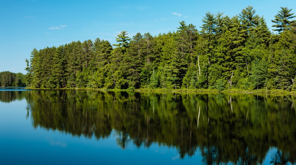 The very calm water of Hemlock Lake, near Minocqua, Wisconsin relfects the shoreline forest and overhead mostly-cloudless sky on an early July afternoon.