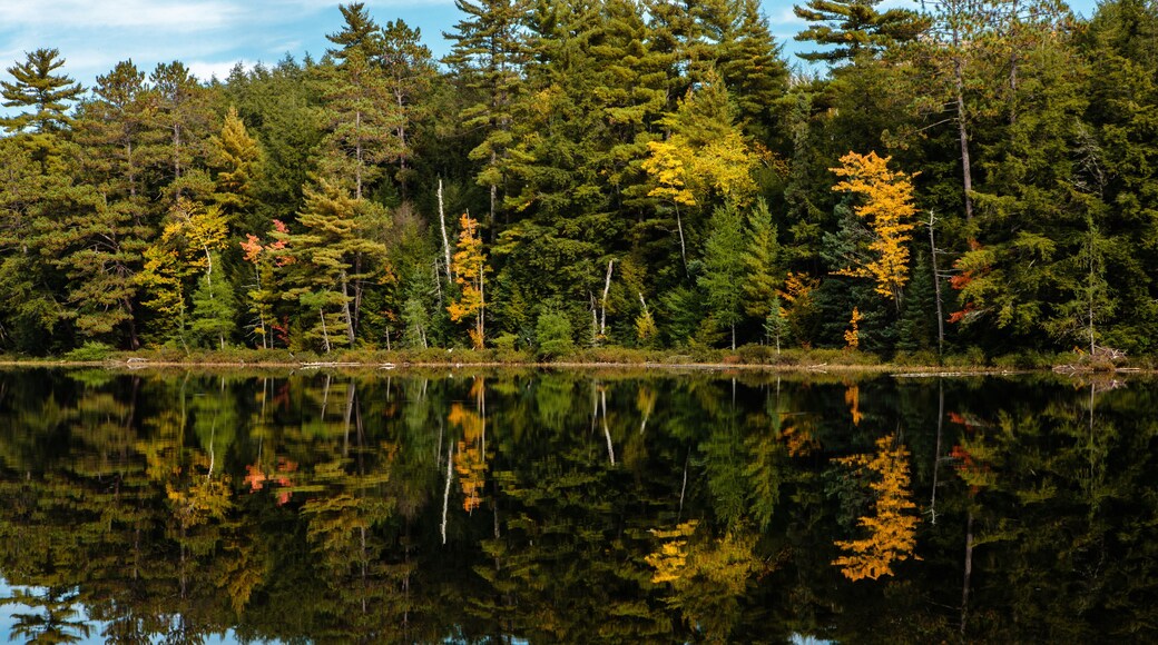 The autumn shoreline of Hemlock Lake reflects into the calm waters near Woodruff, Wisconsin in Oneida County on a late September afternoon in early autumn
