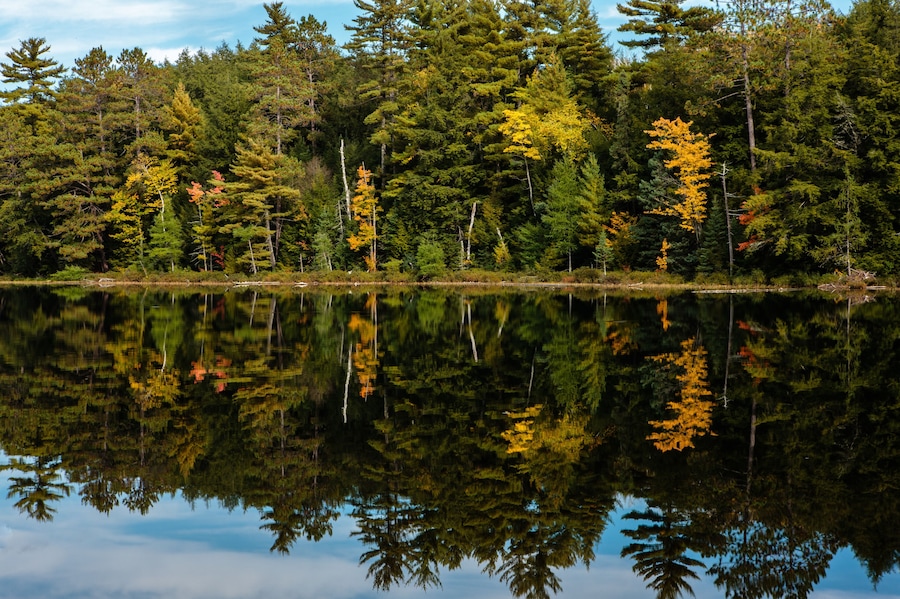The autumn shoreline of Hemlock Lake reflects into the calm waters near Woodruff, Wisconsin in Oneida County on a late September afternoon in early autumn
