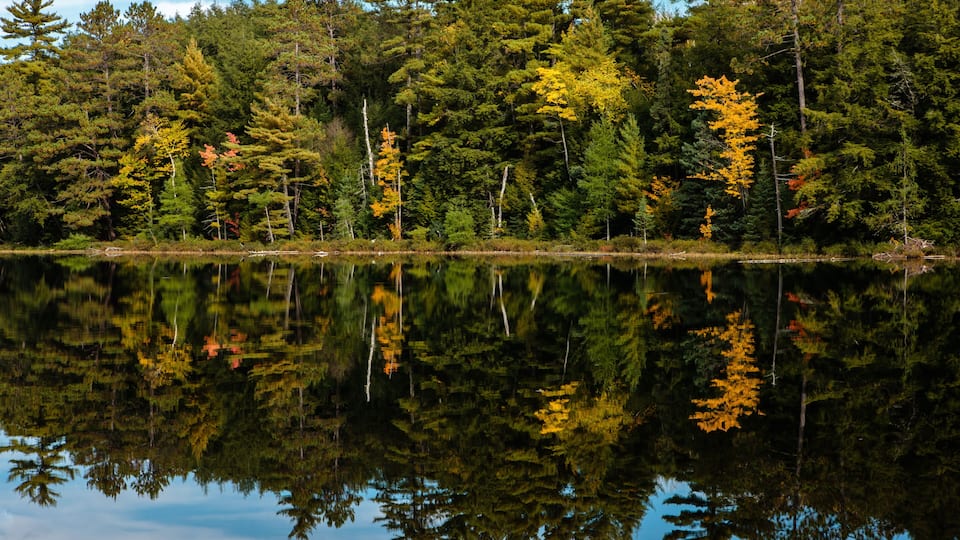 A calm lake surrounded by dense forest with autumn foliage reflecting on the water's surface.
