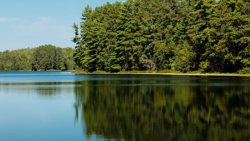 A calm lake surrounded by dense green forest.