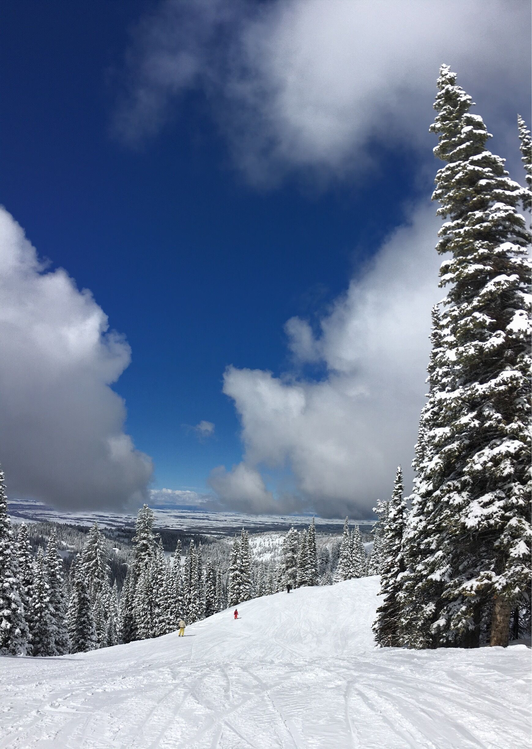 Skiing in March. Such a stellar place!