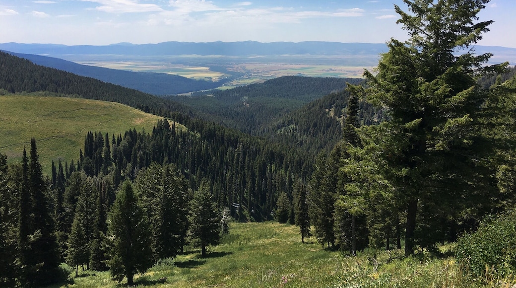 This view along a cat track of Grand Targhee Ski Resort shows Driggs, ID in the distant valley.
My children live here so I enjoy returning to the backside of Grand Teton mountains regularly.