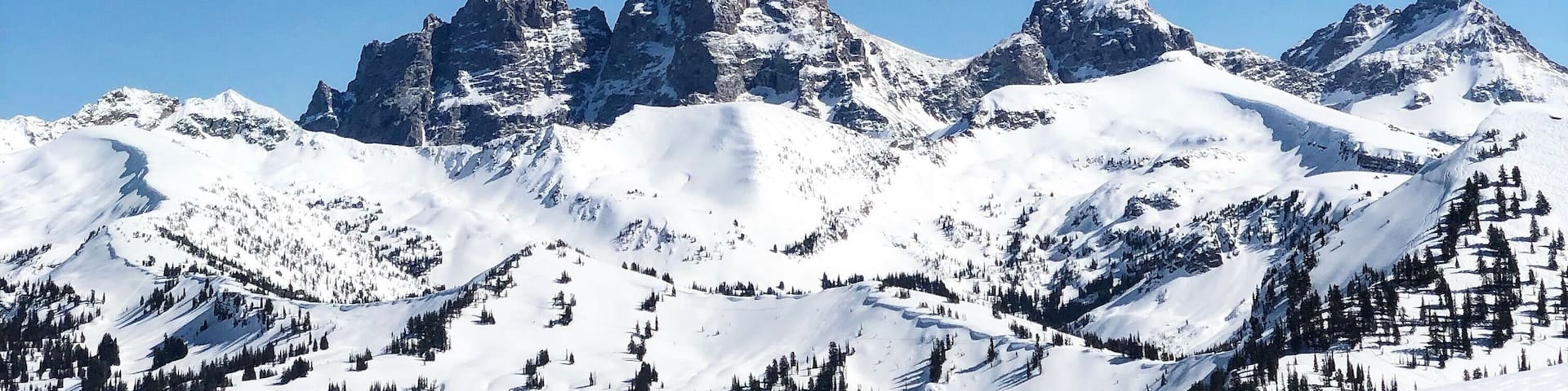 The prominent Tetons on a bluebird day! #trovember