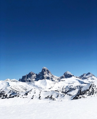 The prominent Tetons on a bluebird day!  #trovember