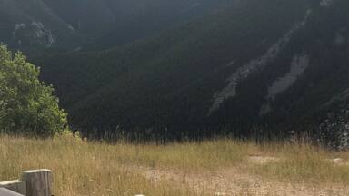 We were on our way to Cody WY and drive through this park. Breathtaking and a must see and experience