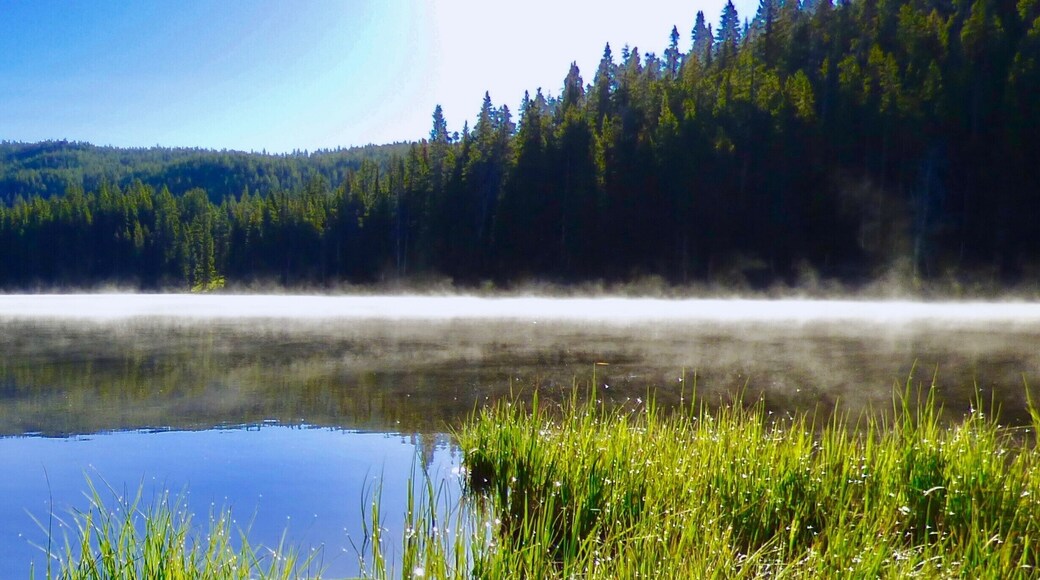 Located between Devils Tower NP and Yellowstone NP, Sibley Lake along the Bighorn Scenic Byway (U.S. Highway 14) near the Burgess Junction at an elevation of 7,900 feet. A great place to hike the high meadows away from the usual bustle of the two National Parks on either side. The Bighorn National Forest offers a wide variety of activities, including hiking, fishing, scenic driving and a number of historic sites.