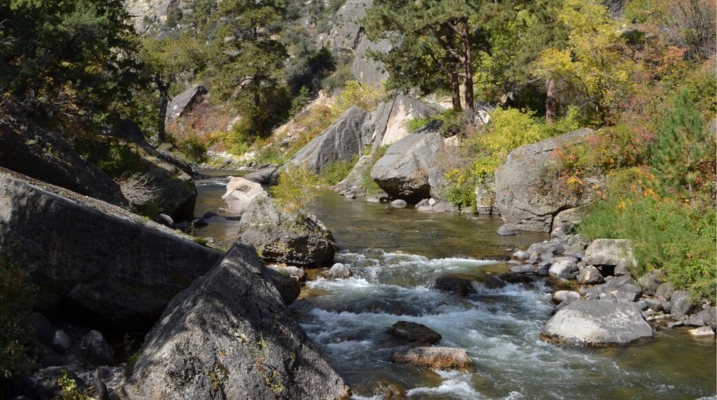Tongue River carves through the Tongue River Canyon just outside of Dayton, WY